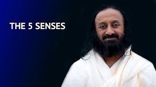 Importance of controlling the 5 senses  Talk by Gurudev Sri Sri Ravi Shankar [upl. by Mata]