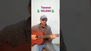 Tananai VELENO  Cover con accordi [upl. by Dnomrej]