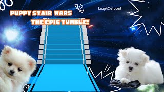 Puppy Stair Wars The Epic Tumble [upl. by Ajroj]