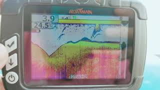 Boatman Sonar 22 Fishfinder [upl. by Beckett]