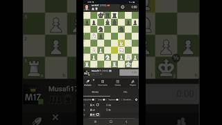 M17 vs Mikhail Tal Bot [upl. by Hare740]