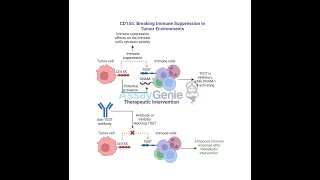 CD155 Breaking Immune Suppression in Tumor Environments [upl. by Haila]