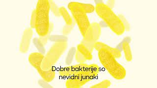 Dobre bakterije so nevidni junaki [upl. by Ahseikram]