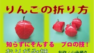 冬果物立体折り紙の折り方林檎（りんご）の作り方 創作 Apple origami [upl. by Oirramaj165]