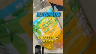 Dehydrated Diluting Juice airfryer cooking snacks food picnic pincichack dehydrate squash [upl. by Yerhpmuh838]