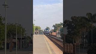 Rare Double ender Pacific Surfliner 587 cruises through Carlsbad Village with Charger 2114 on point [upl. by Omarr]