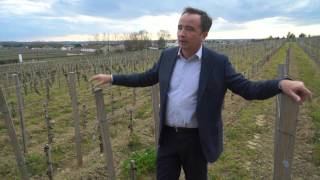 Bordeaux 2015 Winemaker JeanPhilippe Delmas Comments on La Mission HautBrion [upl. by Atinob373]