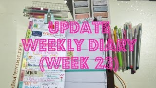 Update Midori Weekly Diary Week 23 [upl. by Natanhoj]