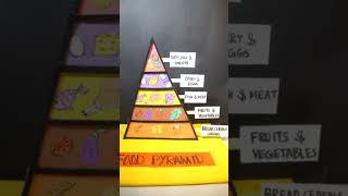 Food pyramid model  science project  Food pyramid 2D  school project Exhibition model for school [upl. by Eislrahc]