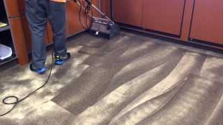 Phoenix Carpet Cleaning Low Moisture Carpet cleaning [upl. by Notgnihsaw229]