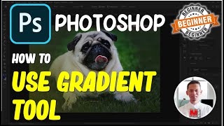 Photoshop How To Use Gradient Tool [upl. by Ueih306]