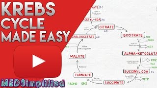 KREBS CYCLE MADE SIMPLE  TCA Cycle Carbohydrate Metabolism Made Easy [upl. by Letsyrhc492]