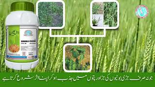 solex weedicides weedicides in Punjab Solex cutout Solex double clean Solex sulfosulfurone [upl. by Maer907]