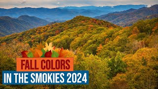 Fall Colors in the Great Smoky Mountains National Park 2024 [upl. by Haleemaj]