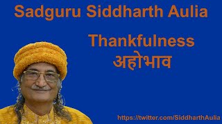 Thankfulness अहोभाव Sadguru Siddharth Aulia [upl. by Aytak342]