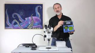 Adding fluorescence to a conventional stereo microscope [upl. by Viehmann]