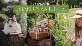 Slow VLOG  Le jardin en juillet  Premières récoltes pâtes fraîches et lasagnes maison [upl. by Teleya678]