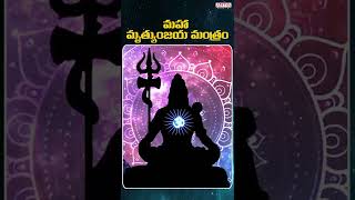 మహా మృత్యుంజయ మంత్రం  Most Powerful Chant  Lord Shiva S P Balasubrahmanyam  Aditya Bhakthi [upl. by Nytsuj755]