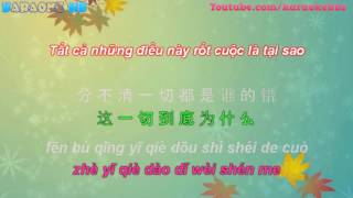 怎麼會狠心傷害我曉玥  Không Được Khóc Nhạc Hoa  pinyin kara [upl. by Atiuqcir]