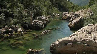 Lozère  la randonnée aquatique dans les Gorges du Tarn fait de plus en plus d’adeptes [upl. by Laing]