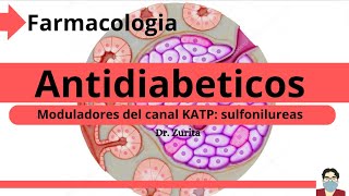 Farmacología Antidiabeticos Moduladores del canal KATP SulfonilureasFarmacología para estudiantes [upl. by Tohcnarf]