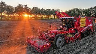 Grimme Varitron 470 TT  Agro Graafstra  Aardappels rooien  DJI Mavic 3 Pro drone  Sunset [upl. by Rickart542]