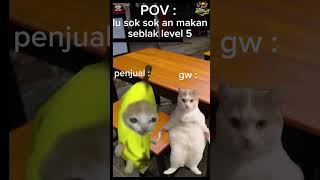 memes kucinglucu [upl. by Talich532]