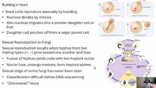 Microbiology Fungi Classification [upl. by Sirrom]