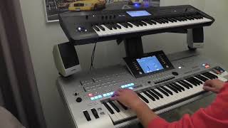 Bielyje rozy cover T4 Korg Krome Nikols [upl. by Frere]