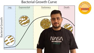 Growth curve of Microorganisms [upl. by Blount]