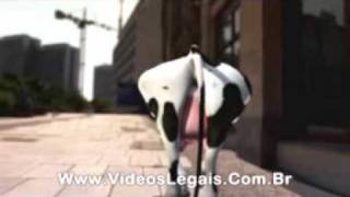 vaca louca remixwmv [upl. by Tiffi]