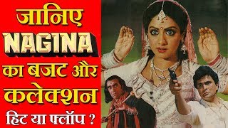 Nagina 1986 Movie Budget Box Office Collection Verdict and Facts  Sridevi [upl. by Stralka]