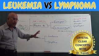 Difference Between Leukemia vs Lymphoma🩺 [upl. by Hershel324]