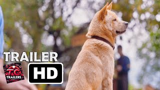 HACHIKO 2 Tráiler Español Latino [upl. by Margalit]