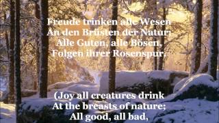 Ode an die Freude  Song Of Joy with German lyrics amp English translation [upl. by Tella842]