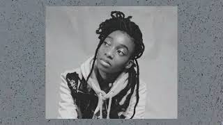 FREE LITTLE SIMZ X CLEO SOL TYPE BEAT 2022 quotFLOWERSquot [upl. by Goines]