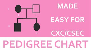 Simplified Pedigree chart  CSEC BIOLOGY TCP [upl. by Sesom129]