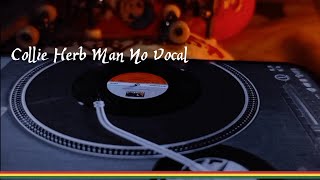 Collie Herb Man  Katchafire  no vocal  Dub Remix Dj Martin Culture Reggae on Vinyl [upl. by Jovita]