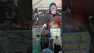 gorilla gorillatag gorillatagfun jungle funnymemes [upl. by Adnohryt]