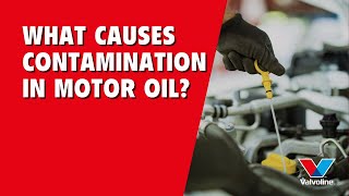 What CAUSES motor oil CONTAMINATION  How to PROTECT Your ENGINE  ASK ALISTAIR [upl. by Okwu278]