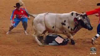 2023 Rodeo Houston Bullfighting [upl. by Randie]