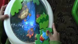 FisherPrice Rainforest Waterfall PeekaBoo Soother [upl. by Allemac290]