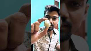 প্রথমবার কোয়েল পাখির ডিম খেলাম 🤤 bisaktochele minivlog [upl. by Norvin]