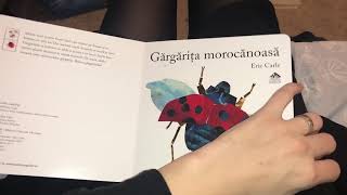 Gargarita Morocanoasa  Grouchy Ladybug Eric Carle [upl. by Delija]