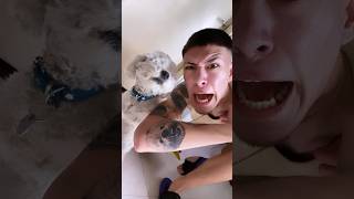 REACCIÓN DEL PRIMO SAAANDRY AL TATTO 💉 RABIOSO 🐶👹❤️ videoshort viral dog fyp funny viral [upl. by Hannaoj]