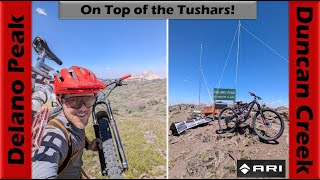 Epic Descent off Delano Peak to Duncan Creek  Mountain Biking Tushar Mountains Utah [upl. by Gebhardt]