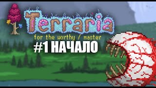 ЗАПУСКАЕМ СЕРВЕР  КООП  FOR THE WORTHY  MASTER  TERRARIA [upl. by Caddric]