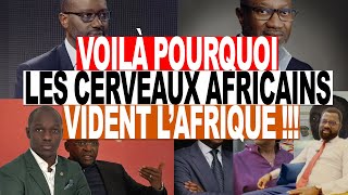 Achille AGBE Génie Financier Africain Jai été poussé à la sortie dans mn pays fuite des cerveaux [upl. by Ruelle]