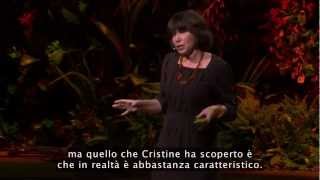 TED TALKS  Alison Gopnik Che cosa pensano i bambini [upl. by Katinka]