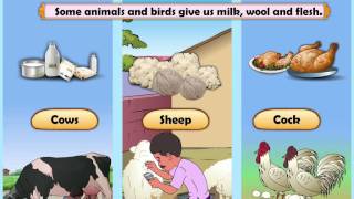 Learn Grade 2  EVS  Natural Resources [upl. by Anelram]